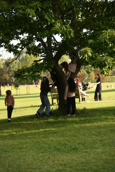 DSC_5968 (Large).JPG